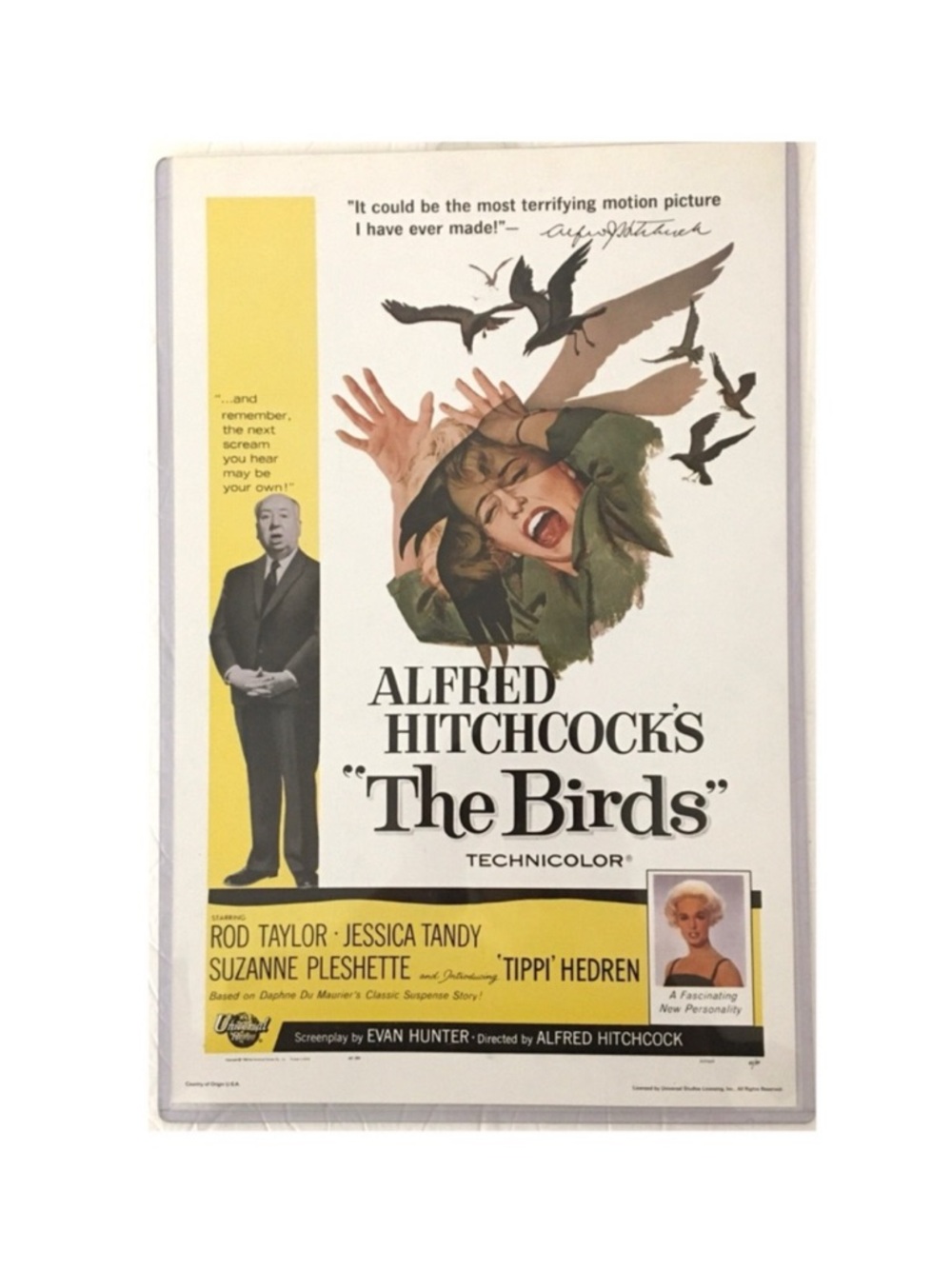 Alfred Hitchcock’s The Bird’s Movie Poster 11 x 17
